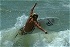 (Aug 21, 2004) Surfing BHP - Nathan Floyd & Shane Wiggins